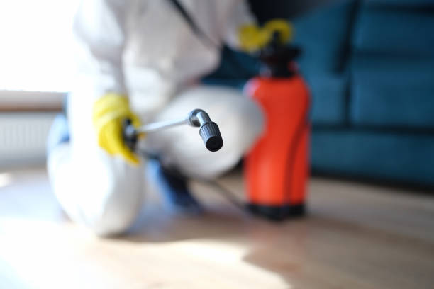 Professional Mold Removal in South Pekin, IL